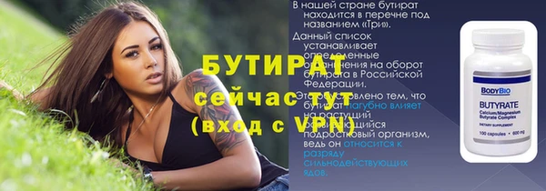 дживик Тында